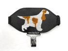 spaniel eng red_ white_copy